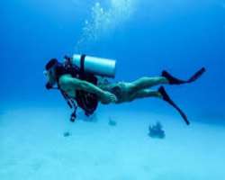 One other destination which is most attracted by tourist in Kavarrata is Dolphin Drive Center which is known to be the biggest training diving centre 